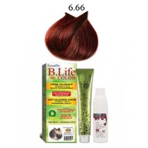 Kit B-life 6.66 Blond Foncé...